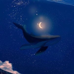 暖海