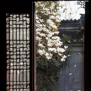 罗刹海市（片段）