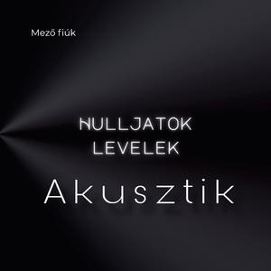 Hulljatok levelek (Akusztikus Verzió)