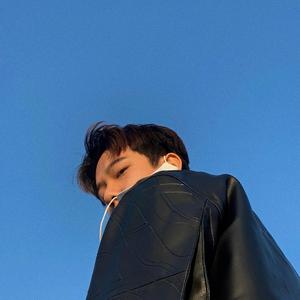 鸽子（翻自 徐秉龙）