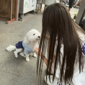 记忆