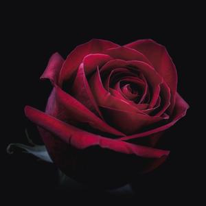 我多少痴心唤不醒无情的你