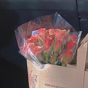 银河下的浪漫 (feat. Kurosaki)