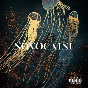 NOVOCAINE