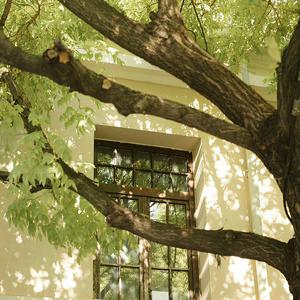 有何不可（女声版）