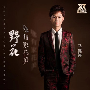 野花哪有家花美 (DJ版)