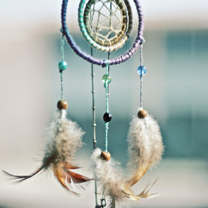 听见雨落下的声音