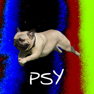 Psy