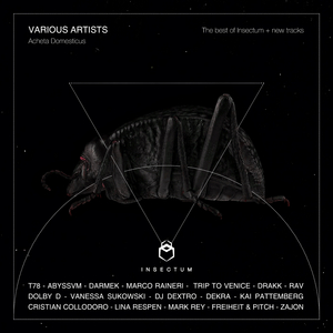 Dermestes (Original Mix)