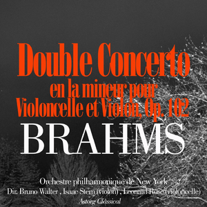 Double Concerto A Minor, Op.102: II. Andante