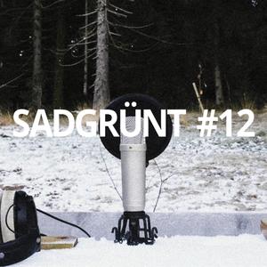 SADGRÜNT #12 (feat. nausaah, SKT KOSMO & star6tem)