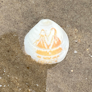 你的不完美也是你的可爱之处