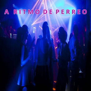 A ritmo de Perreo