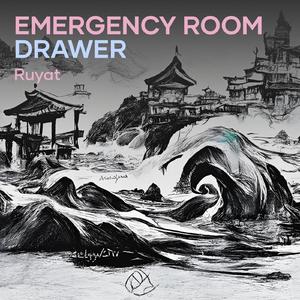 Emergency Room Drawer