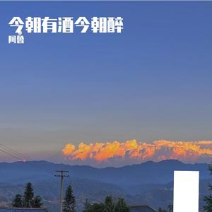 杨音英-彝族敬酒歌（阿鲁 remix）