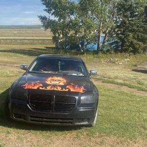 The Lucky Horse I Am