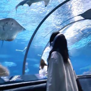 a b c d x y z n m a s a d slowed