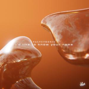 I'd Like To Know Your Name