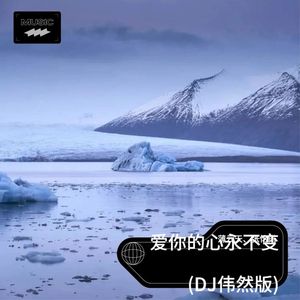 爱你的心永不变 (DJ伟然)