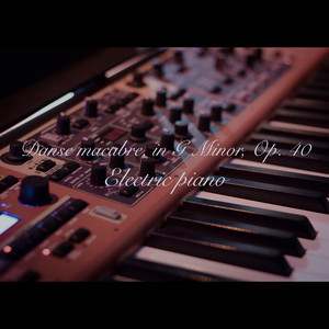 Charles Camille Saint-Saëns：Danse macabre in G Minor, Op. 40