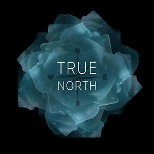 True North