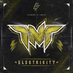 Electricity (Extended Version)