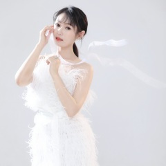 我的气质你模仿不来 (DJ版)