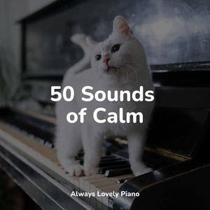 Clear and Perfect Skies