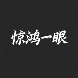 惊鸿一眼 (兜有米。 Remix)
