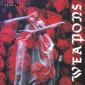 Weapons (feat. Leather Baby)