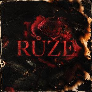 Růže (feat. Gauner)