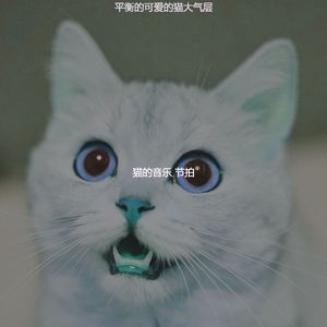 微妙的小猫心情