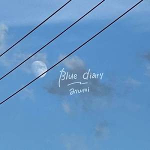 Blue diary