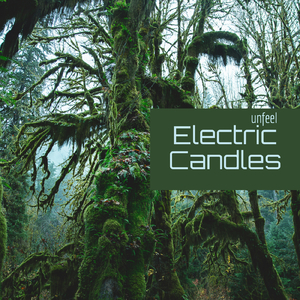 Electric Candles