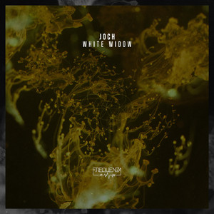 The Rupture (Original Mix)