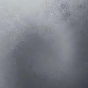 腐烂与生机