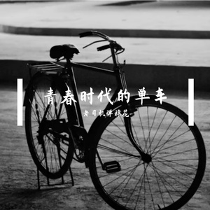 青春时代的单车