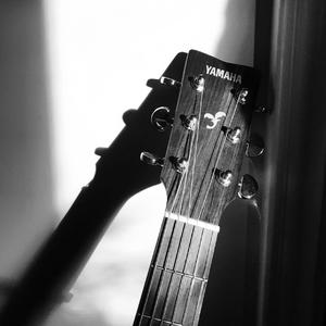 我们总是在寻找(Demo)