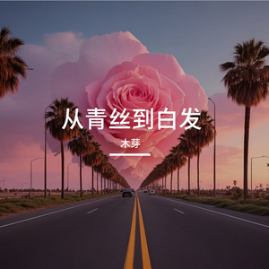 从青丝走到白发苍苍