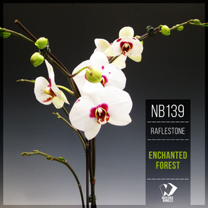 Enchanted Forest (Original Mix)