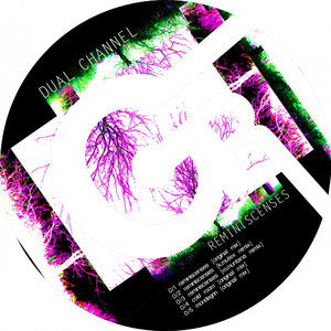 Reminiscences (Muntana Maximilian Remix)