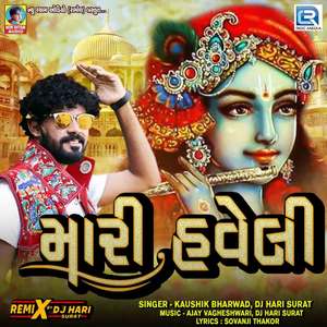 Mari Haveli (Dj Hari Surat)