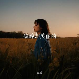 破碎缺美丽的