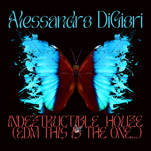 Indeztructible HouZe (Edm This Is the One)