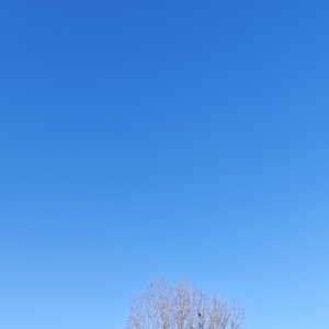 冬日恋歌 冬日爱