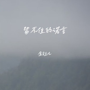 留不住的诺言 (DJ长梦版)