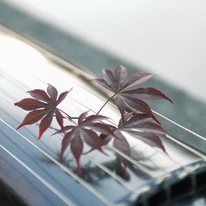 1937 记南京公祭日