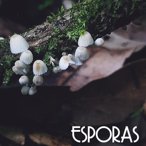 Mutantes