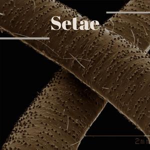 Tee Colorimetric