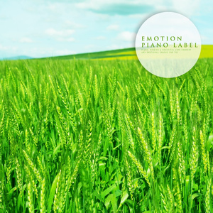 향기로운 햇살처럼